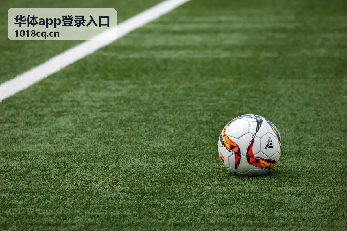 华体app登录入口问题反馈渠道
