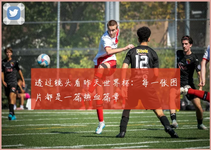 透过镜头看昨天世界杯：每一张图片都是一篇热血篇章