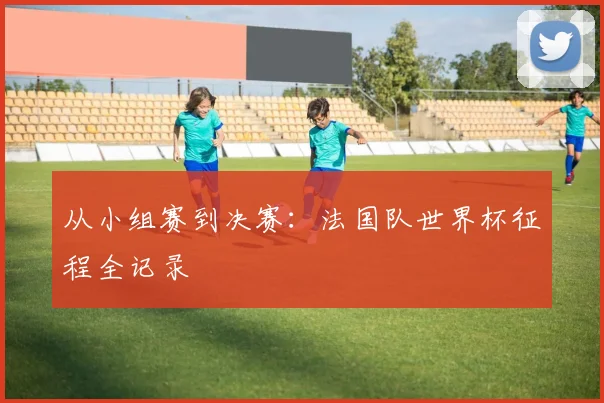 从小组赛到决赛：法国队世界杯征程全记录