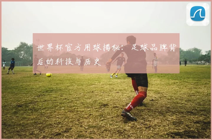 世界杯官方用球揭秘：足球品牌背后的科技与历史